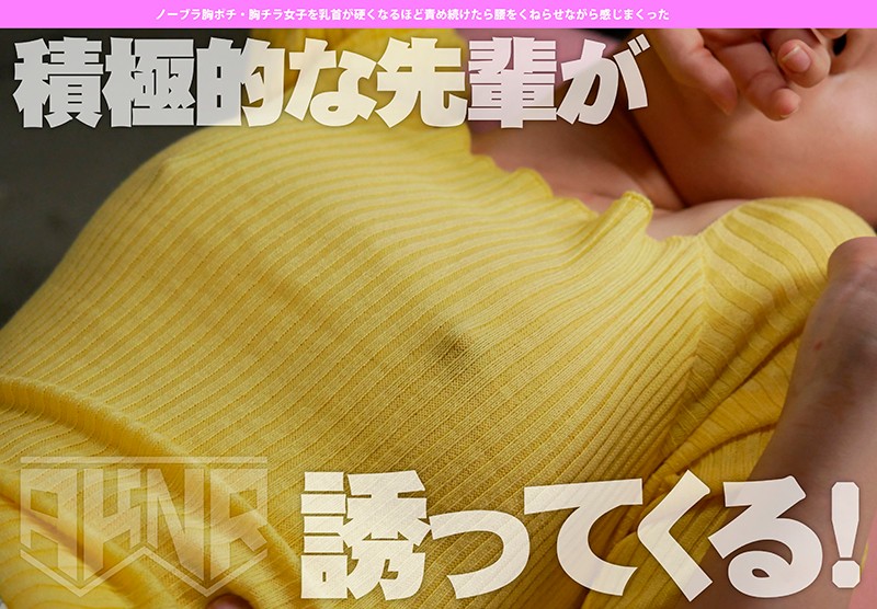 サンプル画像