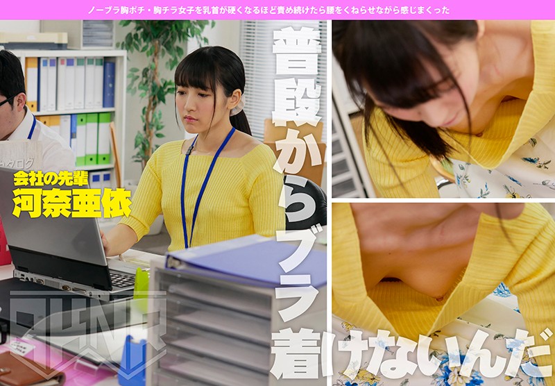 サンプル画像